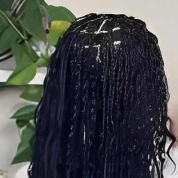 Person with long, black braided hair facing away, with a green plant in the background.